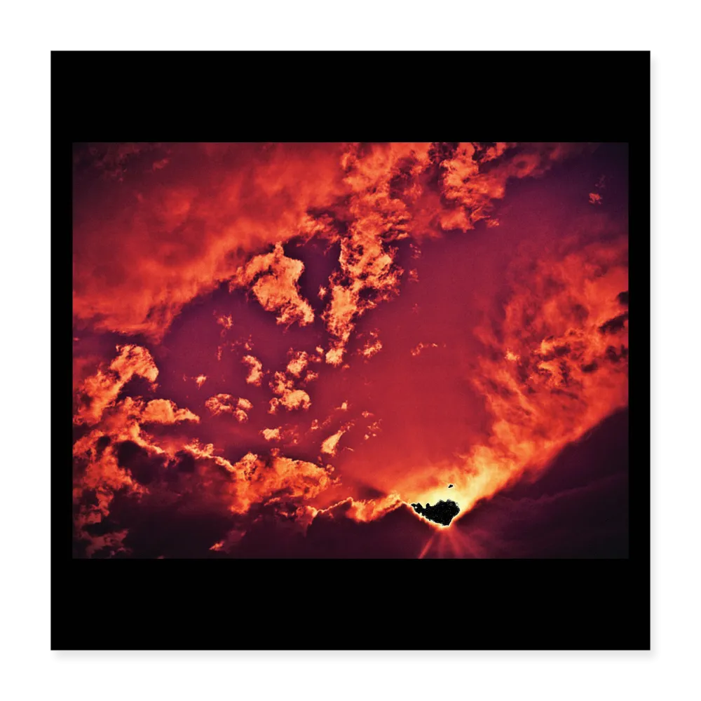 DEMONS Poster 16x16