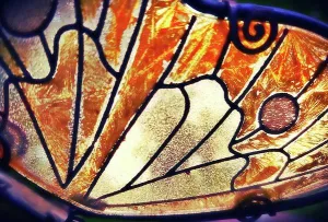 Flutter - Art Print