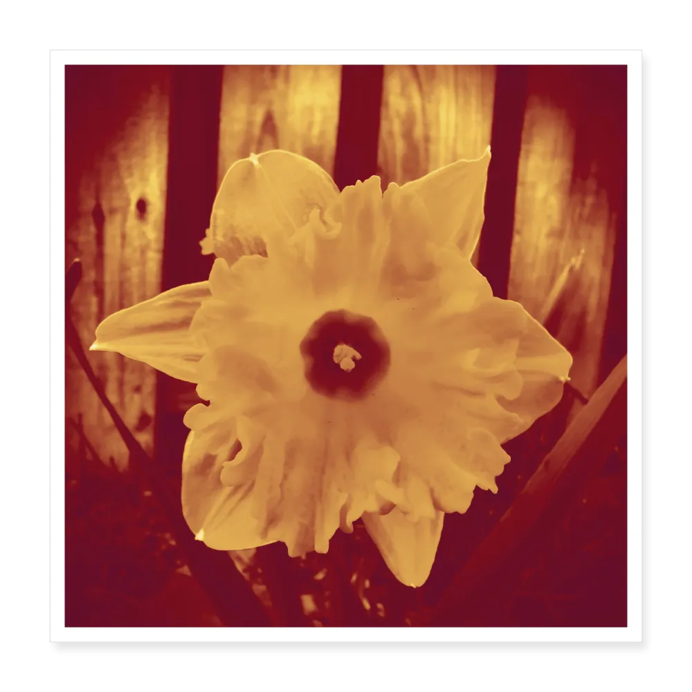 SPRING Poster 16x16